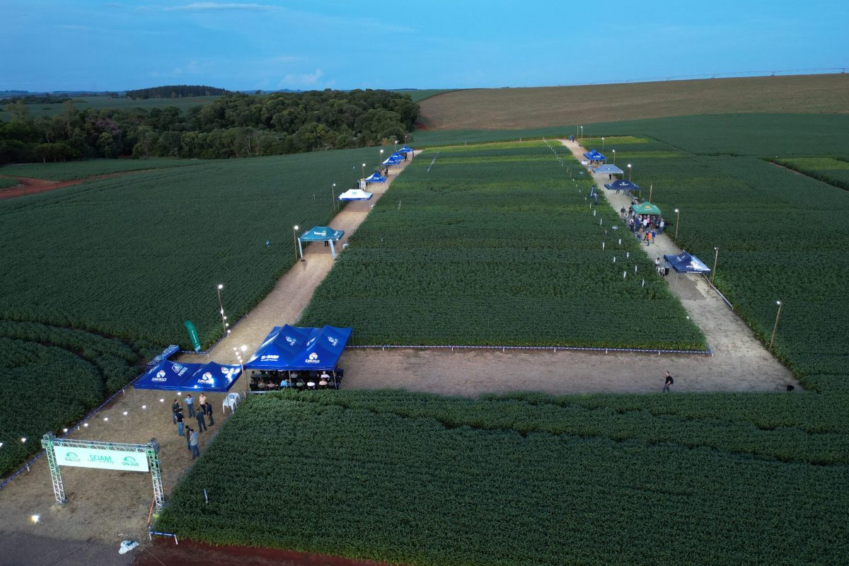 Agronoite Sinuelo movimenta mais de 200 produtores em Santo Augusto