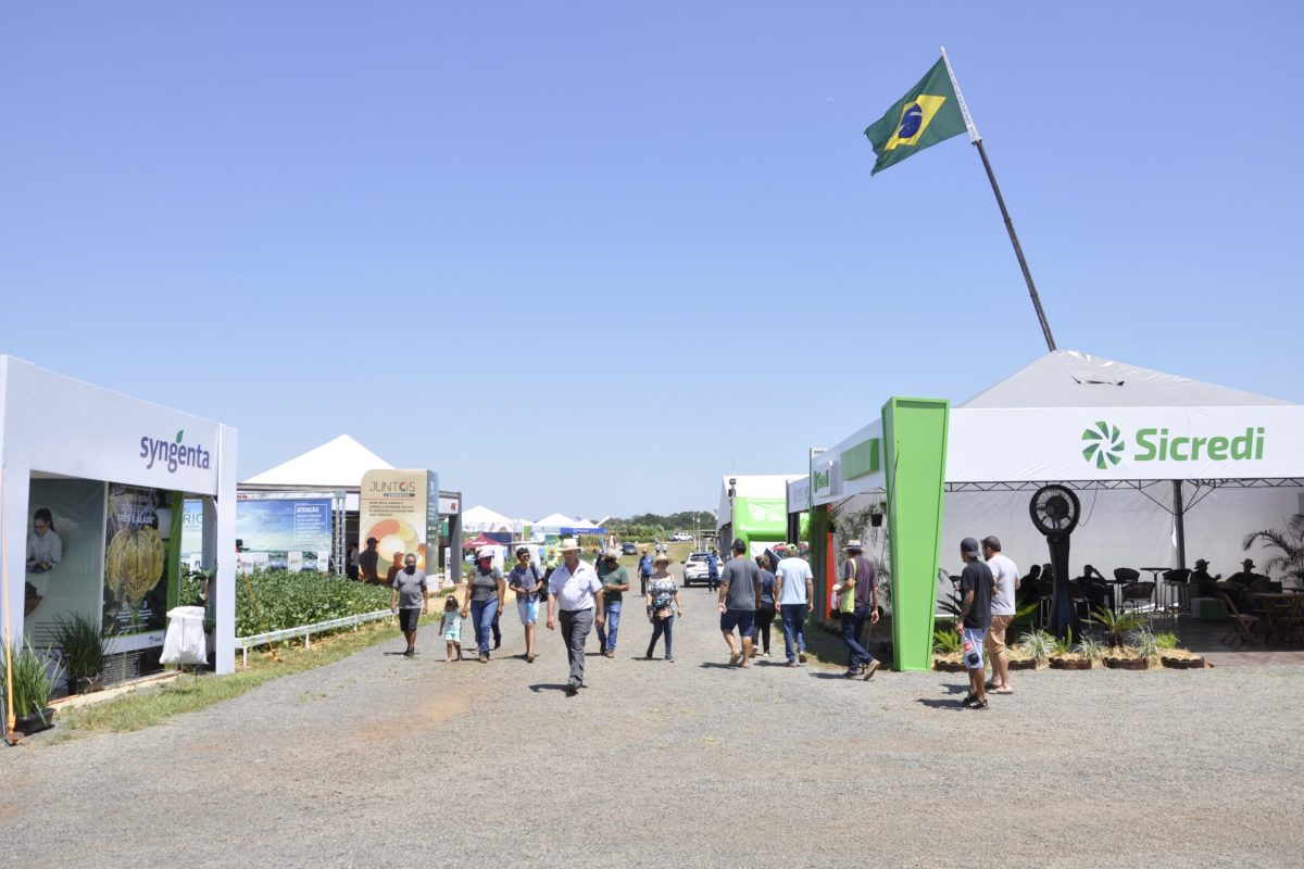 Lançamento oficial da 7ª ExpoAgro Cotricampo acontece hoje