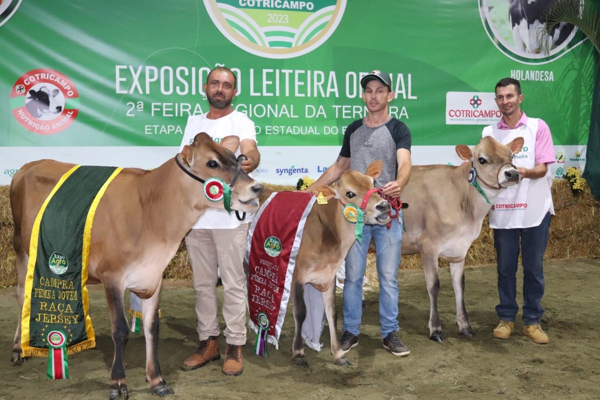 7ª Expoagro Cotricampo: divulgadas as campeãs do Julgamento Morfológico Fêmea Jovem da Raça Jersey
