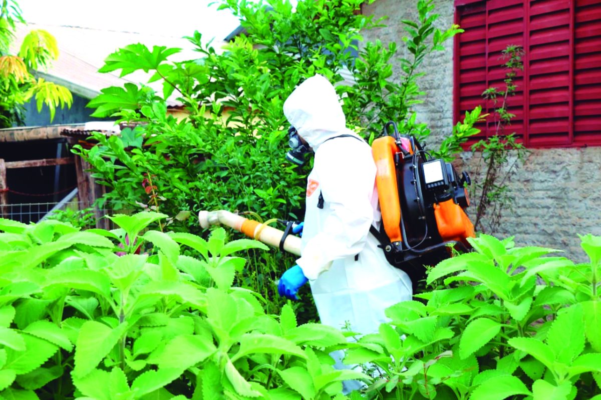 Municípios da Região Celeiro registram os primeiros casos de dengue do ano
