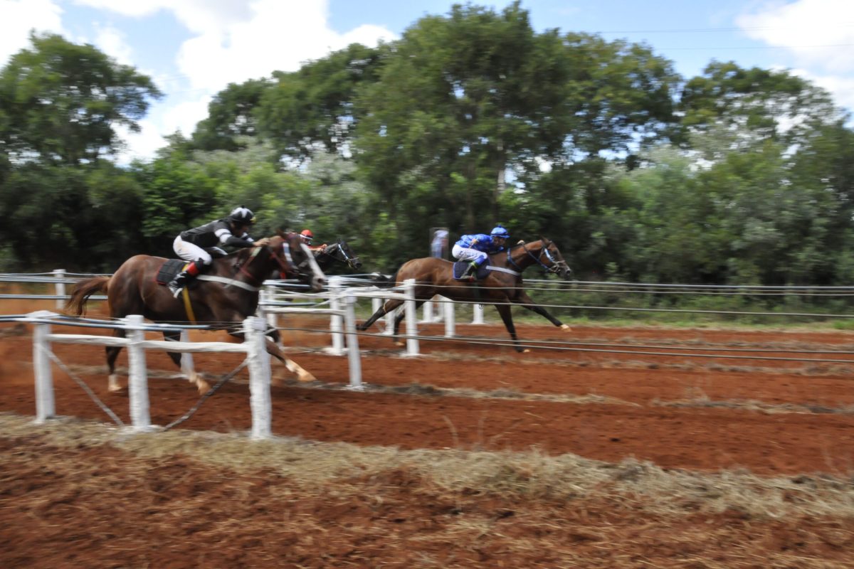 Enigmático Light, do Haras Alves Teixeira, é o grande vencedor do 14º GP Cidade de Santo Augusto