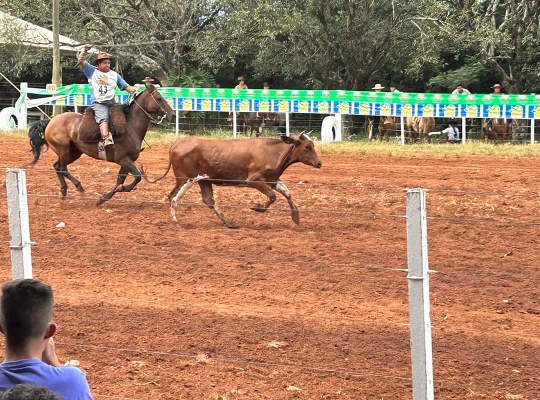 Vivenciando a cultura gaúcha, 41º Rodeio Crioulo foi um sucesso