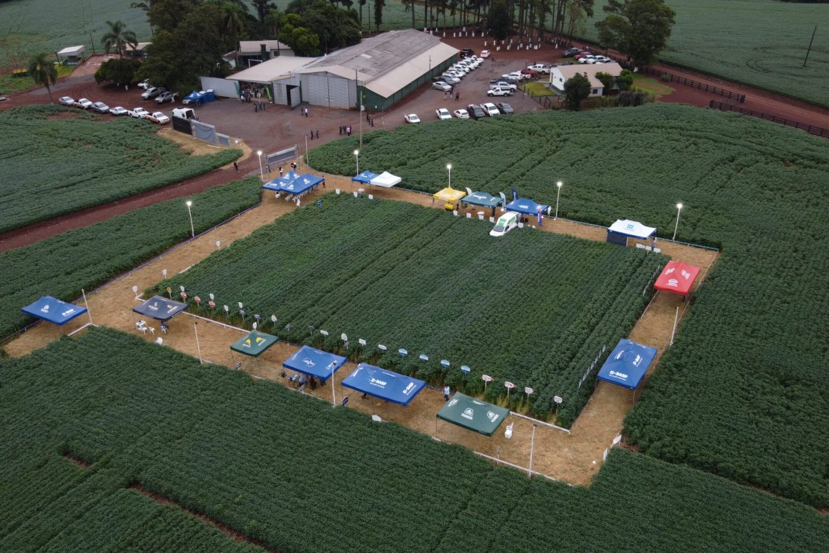 II Agronoite Sinuelo: disseminando conhecimento em prol do agronegócio