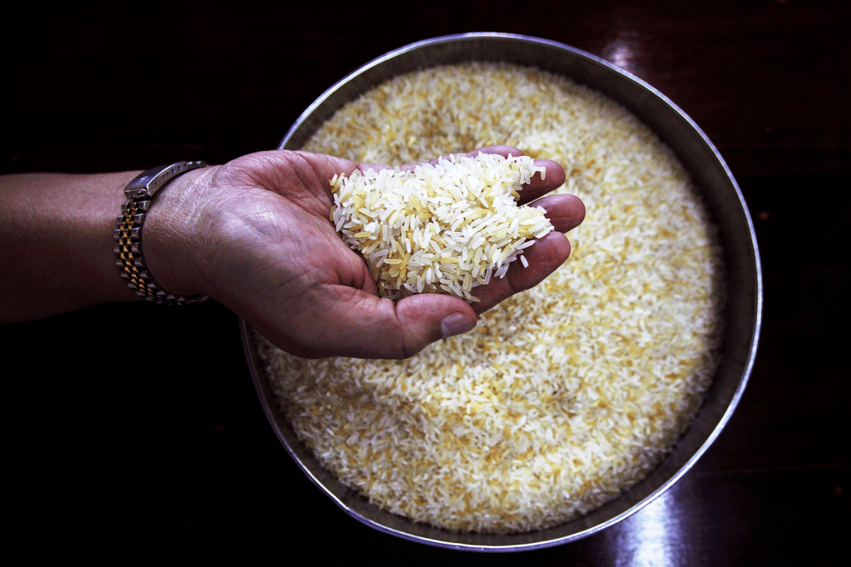 Enchentes no RS: Conab é autorizada a importar arroz