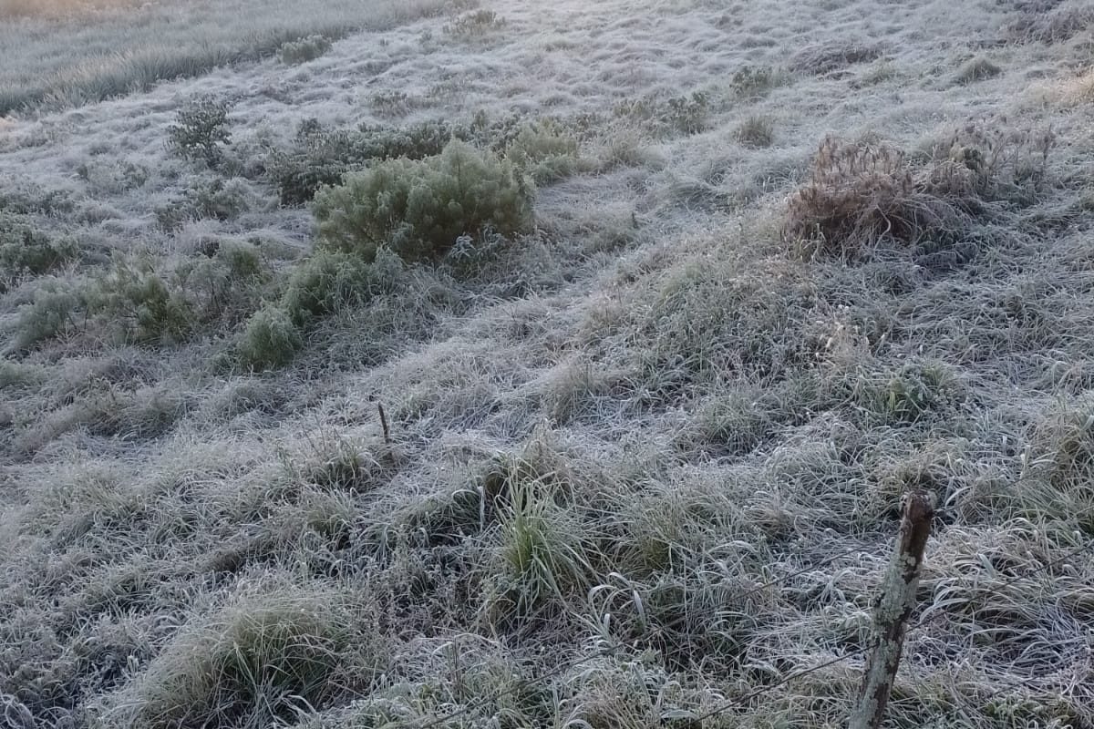 Tempo estável e temperadas baixas nos próximos dias no Estado