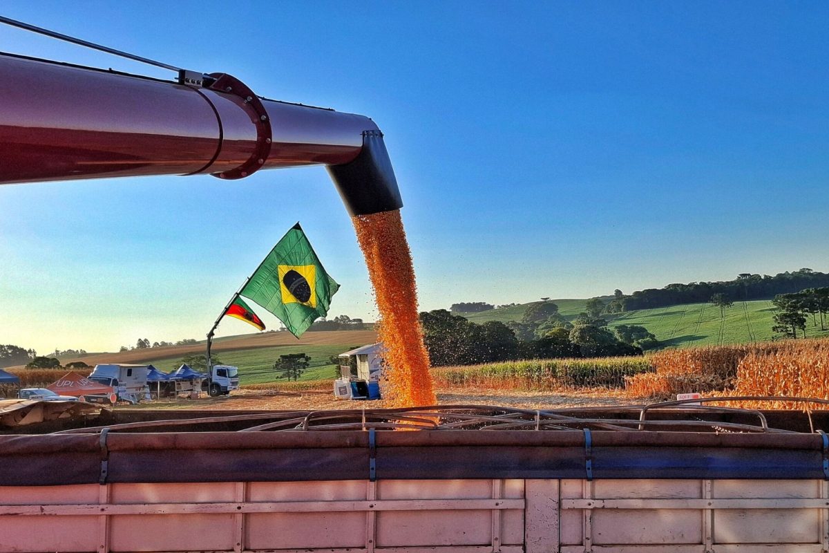 Governador e secretário da Agricultura participam da 12ª Abertura da Colheita do Milho em Paulo Bento