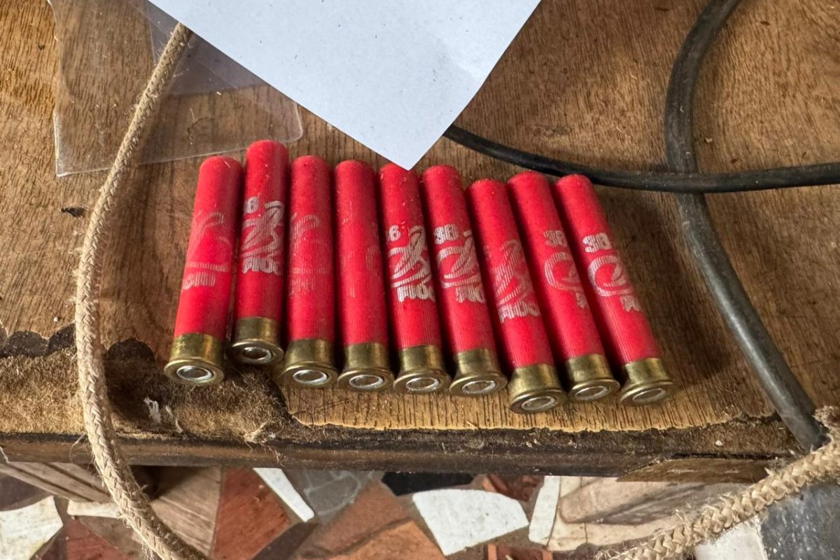 PF combate posse ilegal de arma de fogo e munições em Santo Cristo
