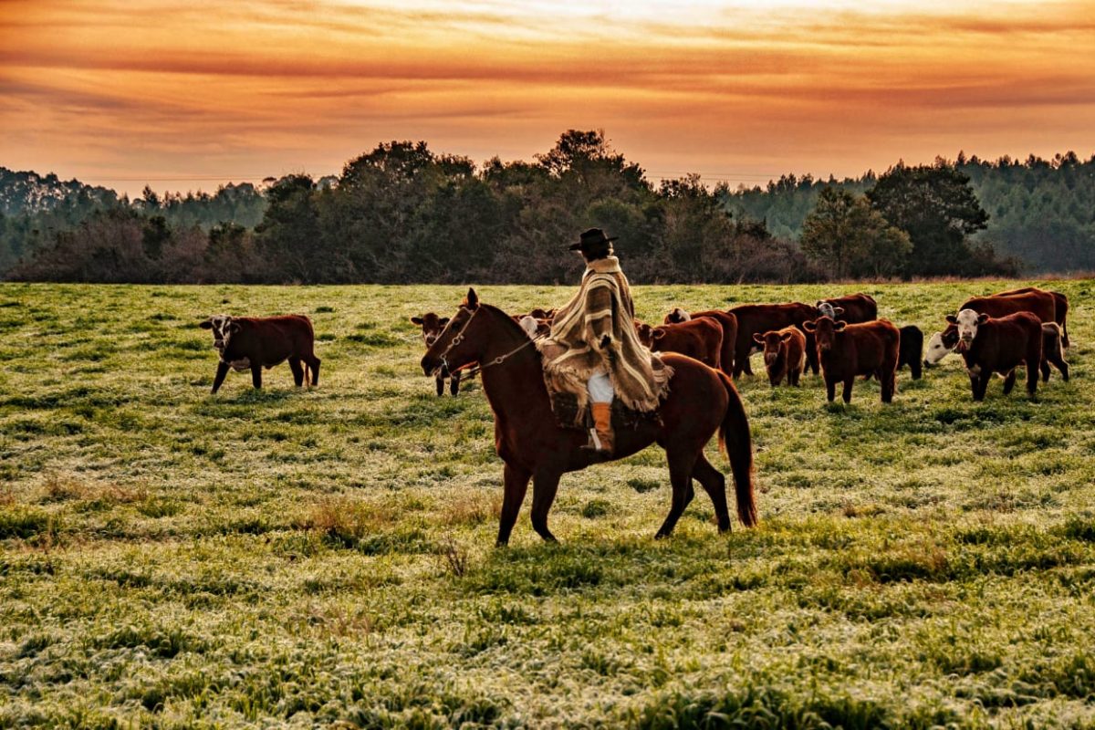 A previsão para a próxima semana é de queda acentuada nas temperaturas no Rio Grande do Sul