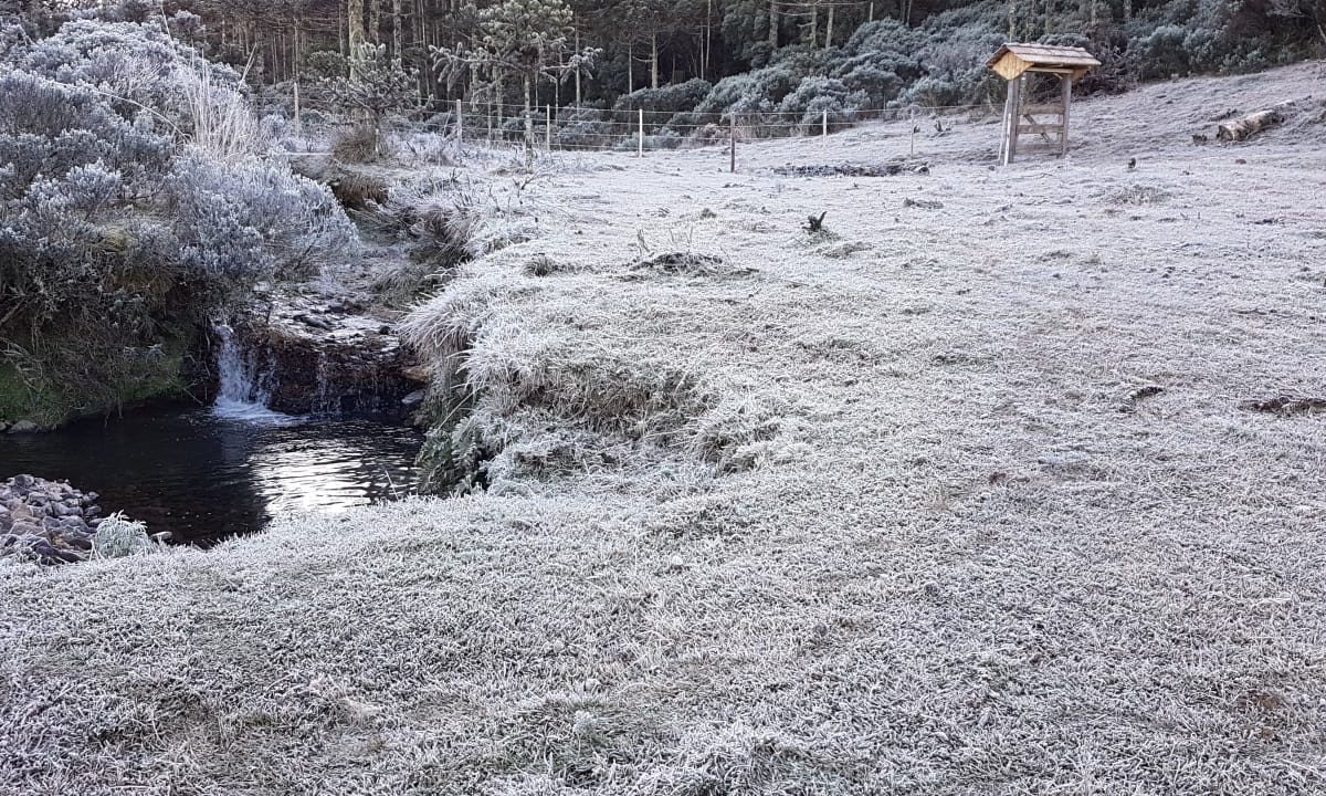 Inverno será típico no Rio Grande do Sul, com frentes frias