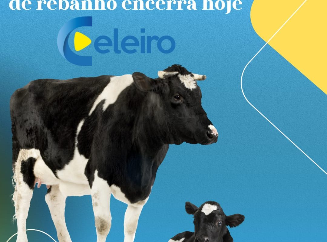 Prazo para declaração de rebanho encerra hoje