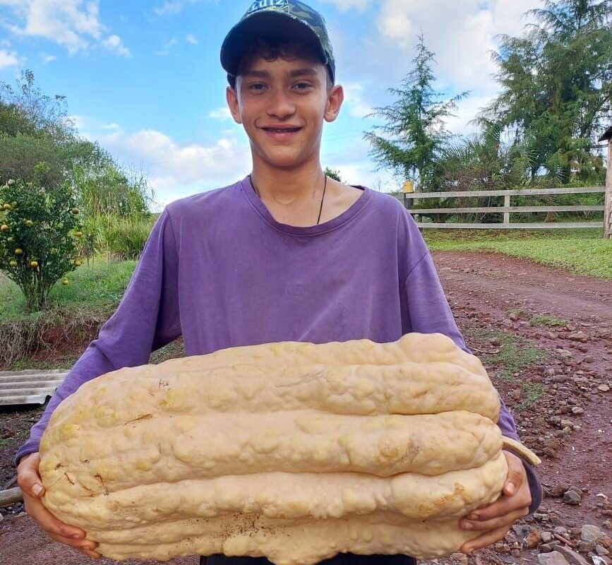 Jovem de Santo Augusto se destaca na produção de hortaliças
