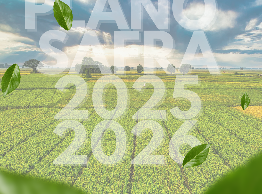 Plano Safra 2025/2026 tem aumento no valor, mas juros mais altos e críticas de produtores