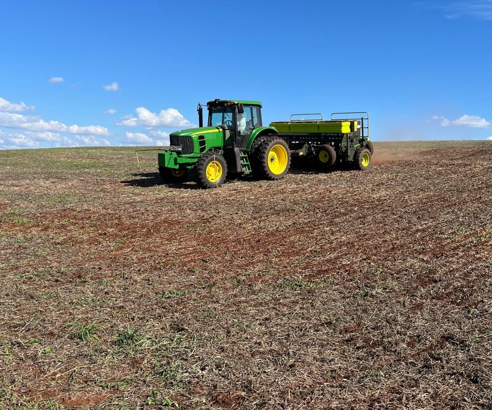 Região Celeiro reduz área destinada ao cultivo do trigo em 2025