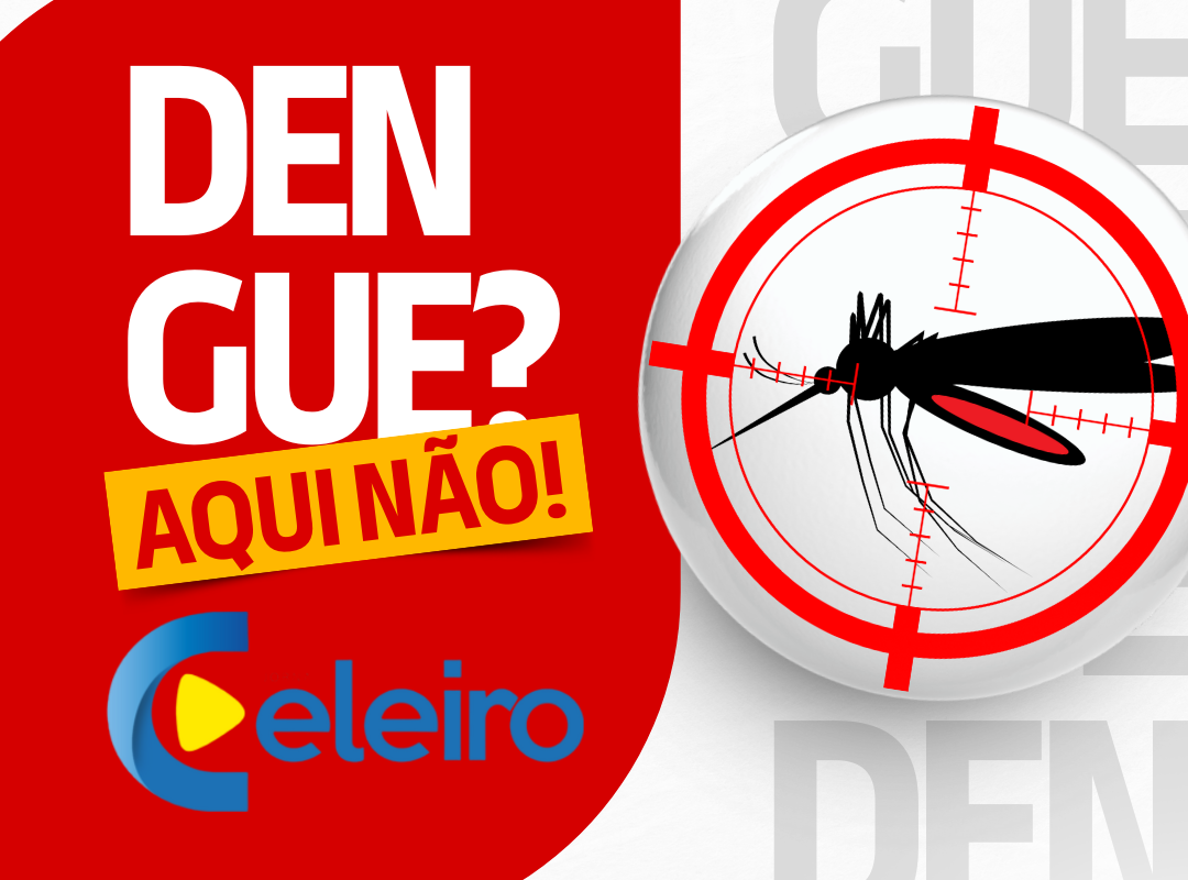 Combate ao Aedes aegypti: Santo Augusto registra queda expressiva nas notificações em 2025
