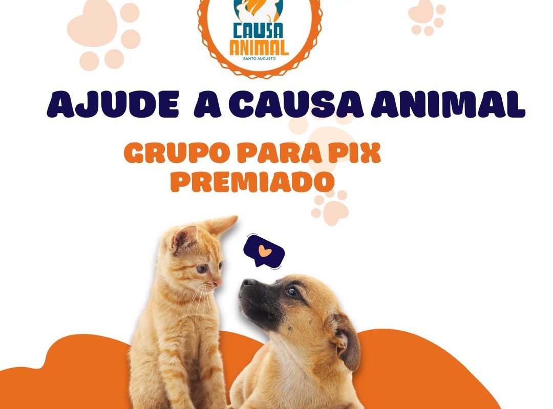 Associação Causa Animal lança  “PIX Premiado” para ajudar animais em situação de vulnerabilidade