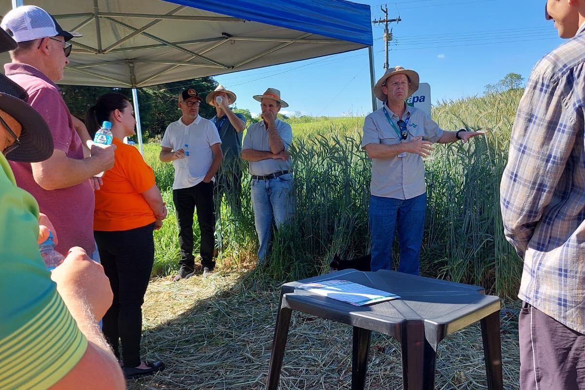 Dia de Campo apresenta alternativas para fortalecer a produção leiteira em Chiapetta