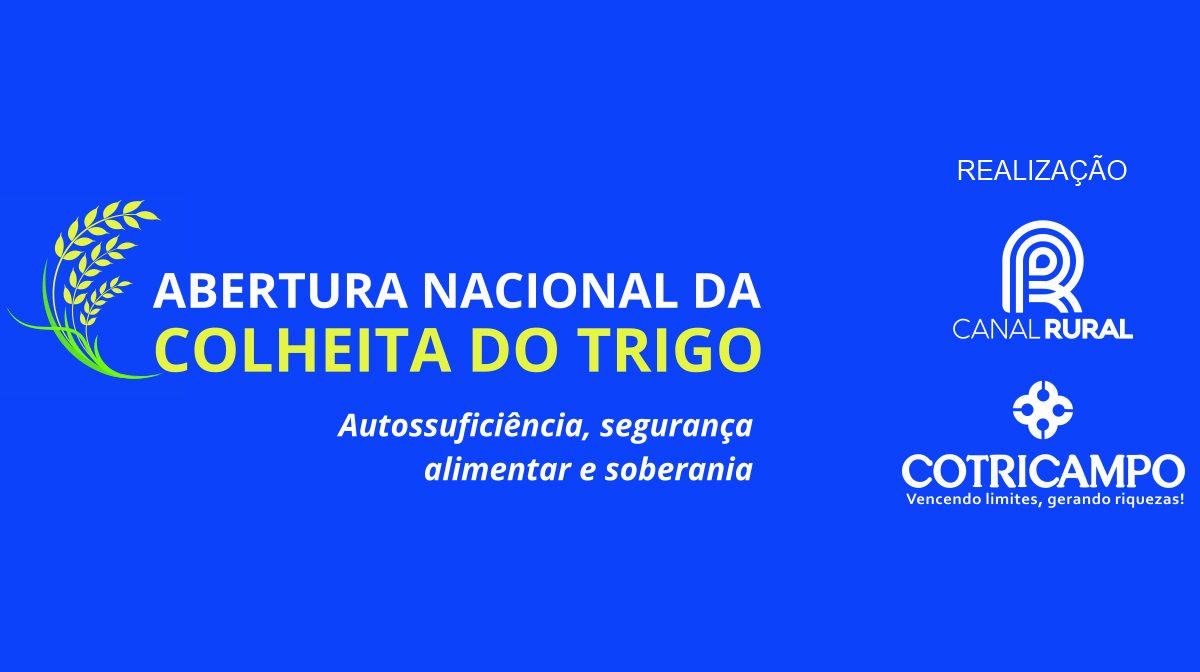 Cotricampo e Canal Rural promoverão evento inédito em outubro: Abertura Nacional da Colheita do Trigo