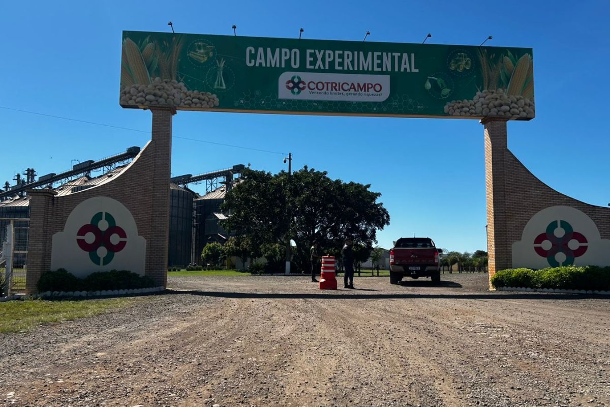 Abertura Nacional da Colheita do Trigo acontece hoje