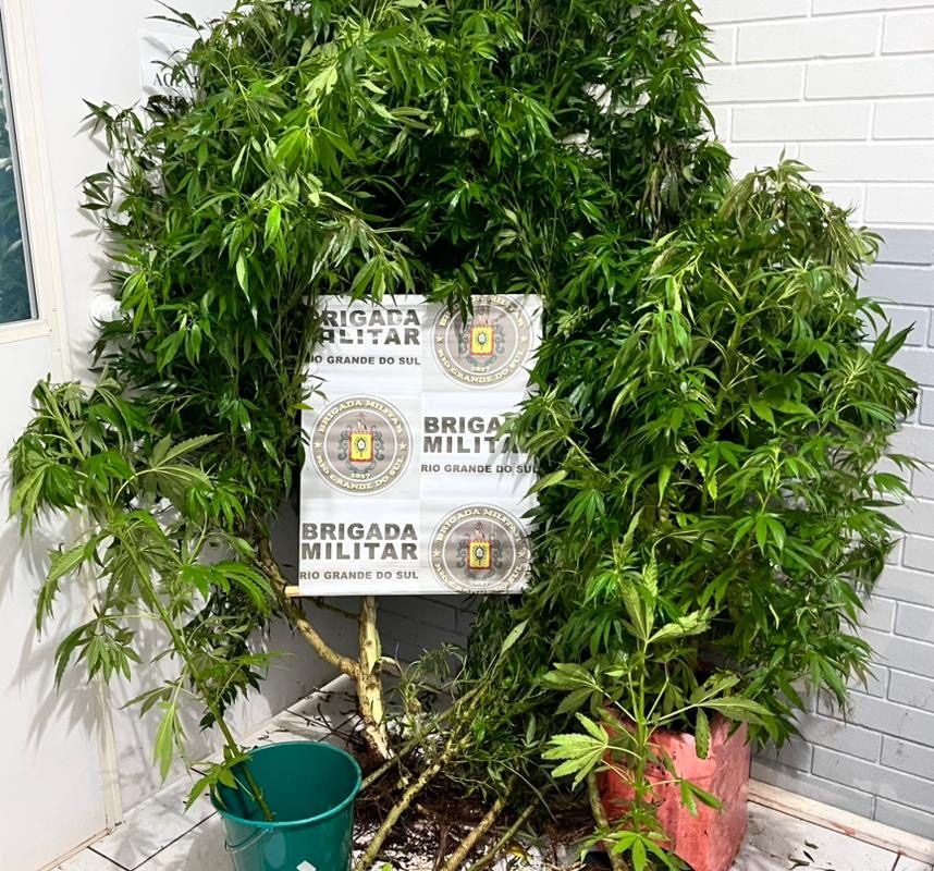 Homem é preso por tráfico de drogas durante operação da Brigada Militar em Crissiumal