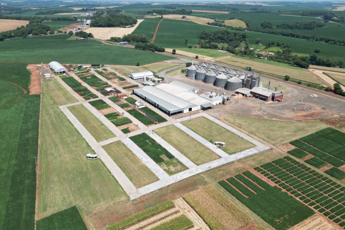 COTRICAMPO celebra edição histórica da ExpoAgro e lança campanha de prêmios